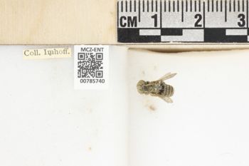 Media type: image;   Entomology 785740 Aspect: labels